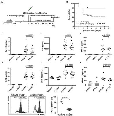 Premorbid use of selective beta-blockers improves sepsis incidence and course: Human cohort and animal model studies